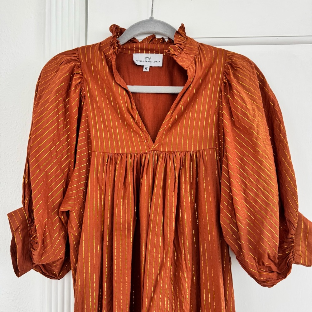 Never a Wallflower Rust Dress with Gold Stripes